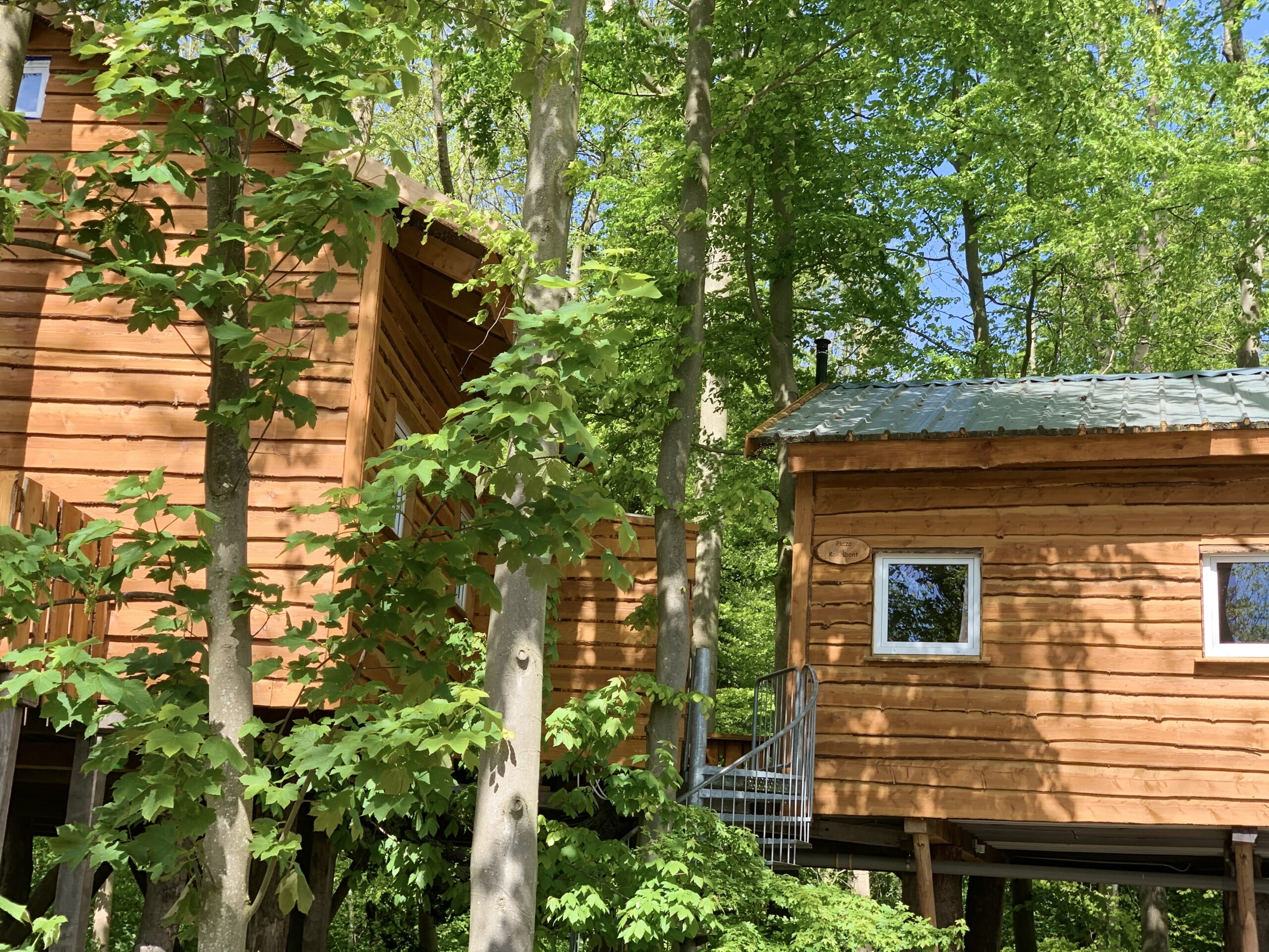 Boomvilla voor 6 personen